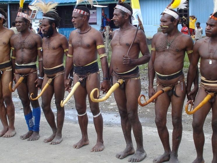 Papuan sareng anggota anu digunakeun